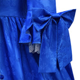18th Century Marie Antoinette Costume Ball Gown Victorian Rococo Deluxe Dress for Women