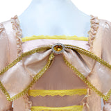 18th Century Marie Antoinette Costume Ball Gown Victorian Rococo Deluxe Dress for Women