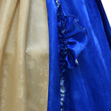 18th Century Marie Antoinette Costume Ball Gown Victorian Rococo Deluxe Dress for Women