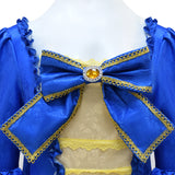 18th Century Marie Antoinette Costume Ball Gown Victorian Rococo Deluxe Dress for Women