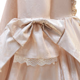 18th Century Marie Antoinette Costume Ball Gown Victorian Rococo Deluxe Dress for Women