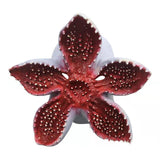 Stranger Things Demogorgon Mask Horror Monster Mask For Halloween Becostume