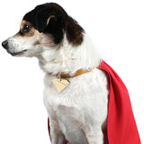 Dog Superman Cosplay Costume Puppy Superman Cape Cosplay Superhero Becostume