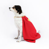 Dog Superman Cosplay Costume Puppy Superman Cape Cosplay Superhero Becostume