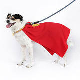 Dog Superman Cosplay Costume Puppy Superman Cape Cosplay Superhero Becostume