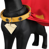 Dog Superman Cosplay Costume Puppy Superman Cape Cosplay Superhero Becostume